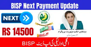 Benazir Income Support Program Guide